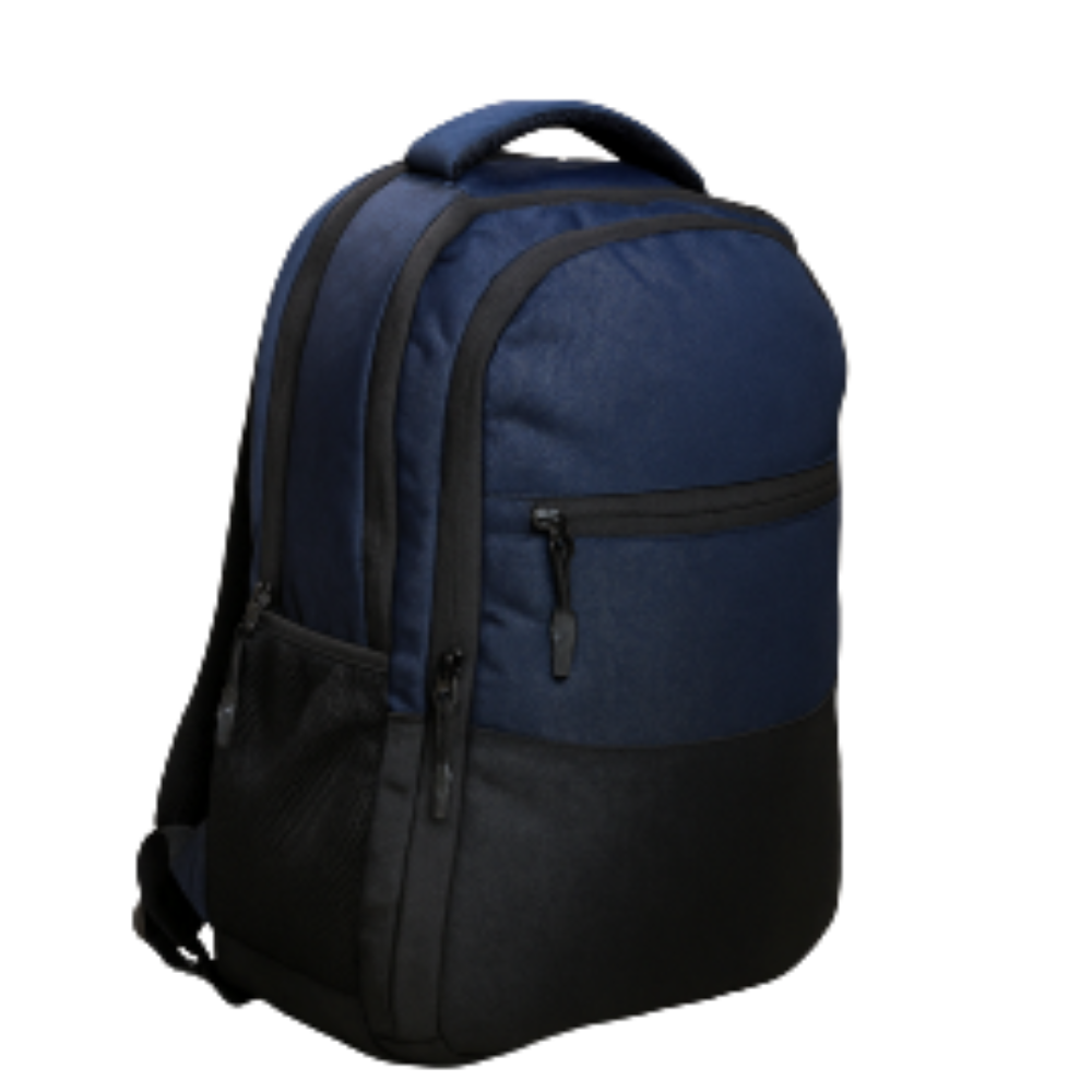 DualTone Everyday Backpack